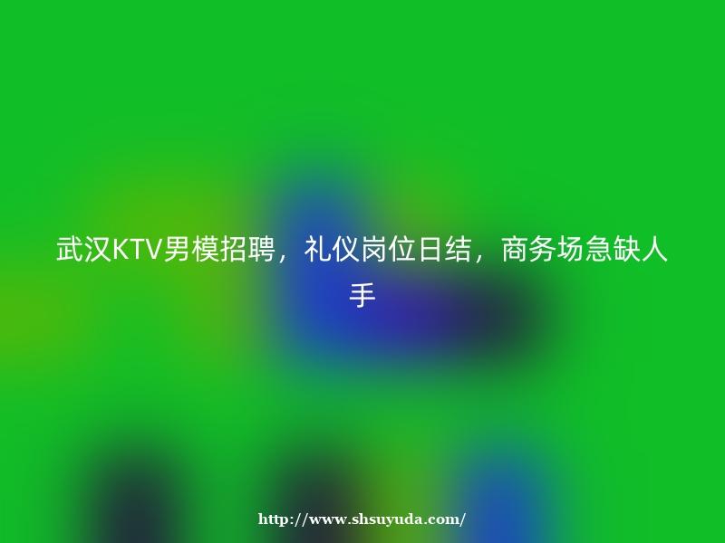 武汉KTV男模招聘，礼仪岗位日结，商务场急缺人手