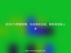 武汉KTV男模招聘，礼仪岗位日结，商务场急缺人手