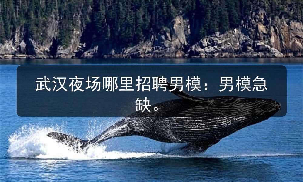 武汉夜场哪里招聘男模：男模急缺职位封面
