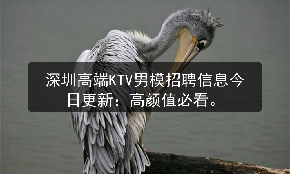 深圳高端KTV男模招聘信息今日更新：高颜值必职位封面