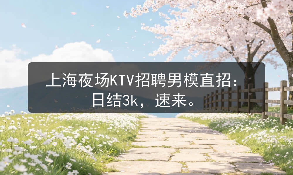 上海夜场KTV招聘男模直招：日结3k，速来职位封面