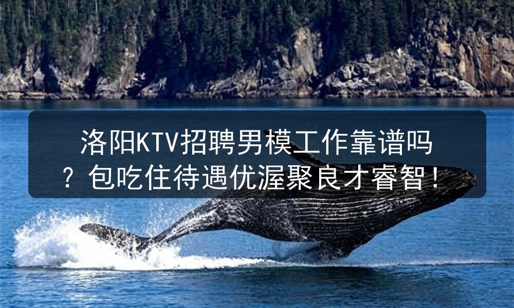 洛阳KTV招聘男模工作靠谱吗？包吃住待遇优渥聚良才睿智！职位封面