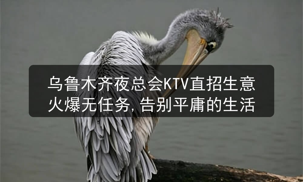 乌鲁木齐夜总会KTV直招生意火爆无任务,告别平庸的生活