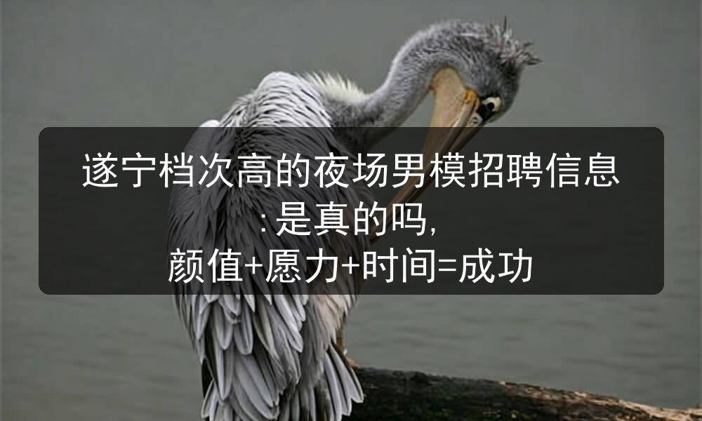遂宁夜场男模招聘