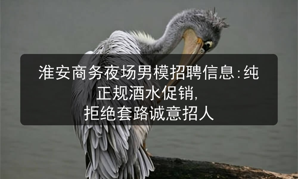 淮安夜场男模招聘
