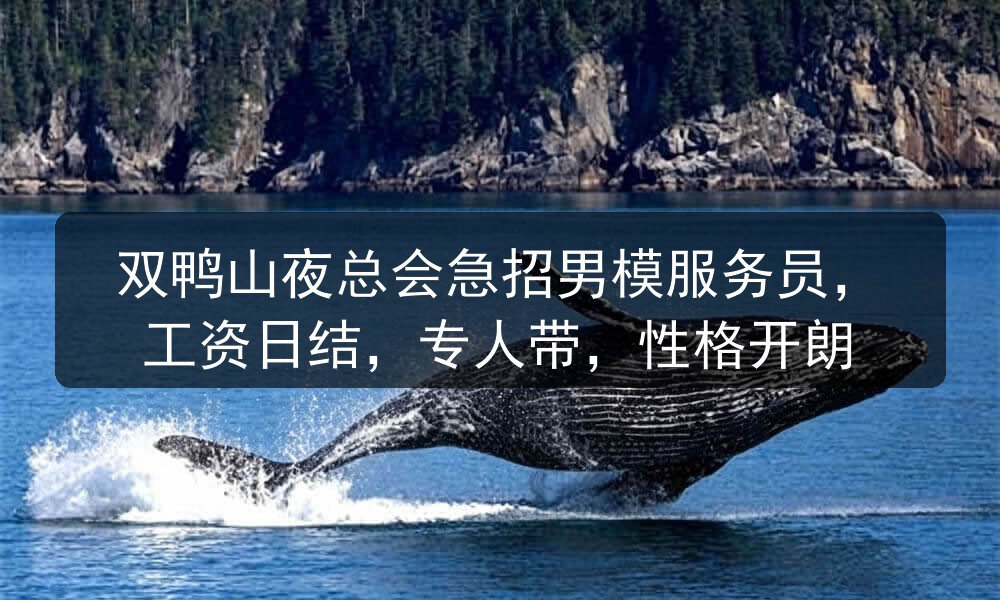 双鸭山夜总会招聘男模服务员