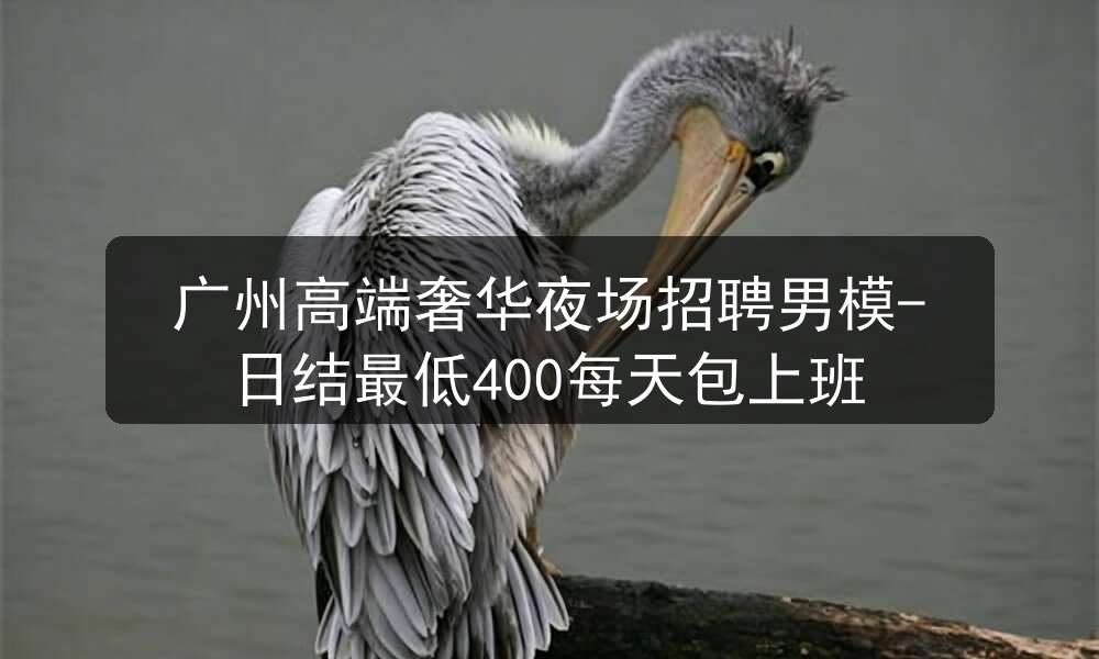 广州高端奢华夜场招聘男模-日结最低400每天包上班职位封面