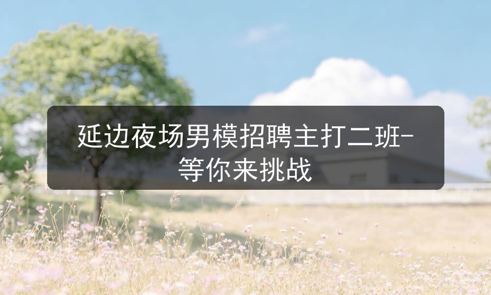 延边夜场男模招聘主打二班-等你来挑战职位封面