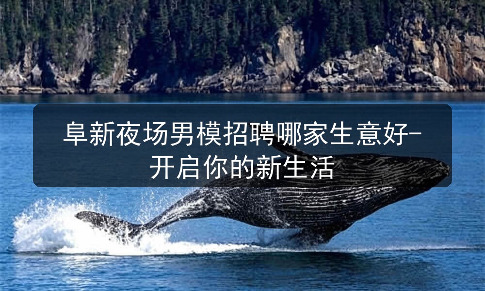 阜新夜场招聘男模