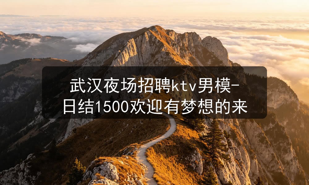 武汉夜场ktv招聘男模