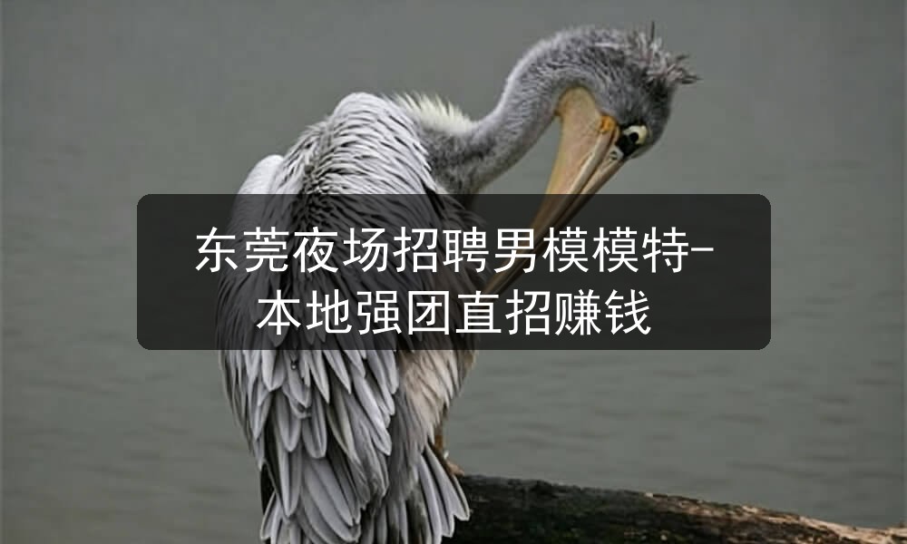 东莞夜场哪里招聘男模