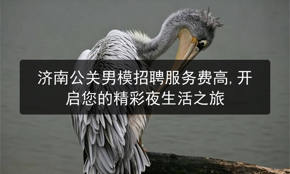 济南公关男模招聘服务费高,开启您的精彩夜生活之旅职位封面