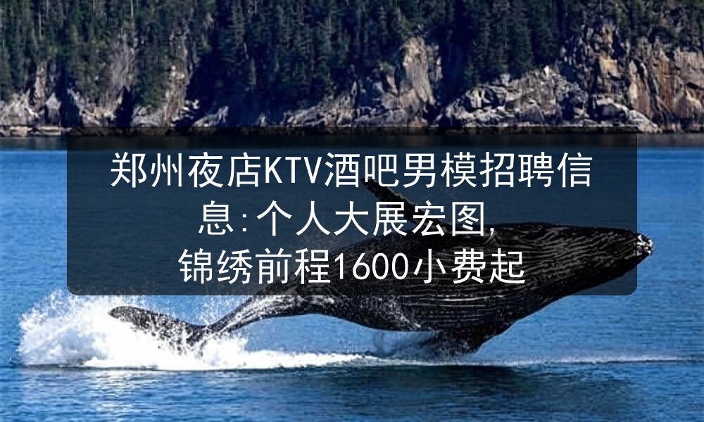 郑州夜店KTV酒吧男模招聘信息:个人大展宏图, 锦绣前程1600小费起职位封面