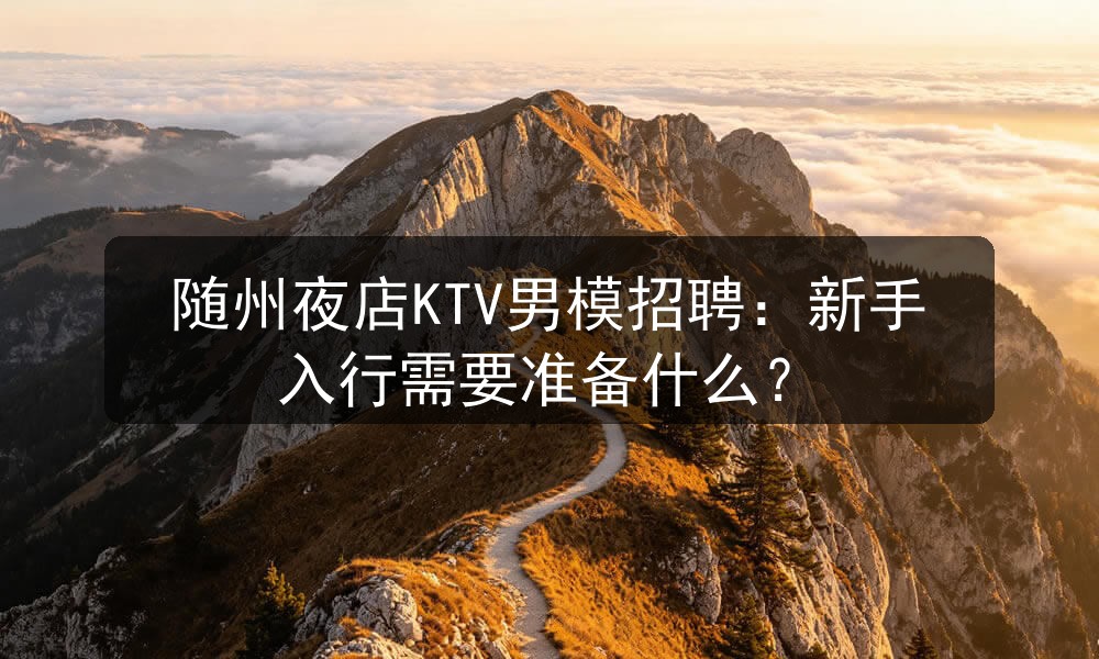 随州夜店KTV男模招聘：新手入行需要准备什么？职位封面